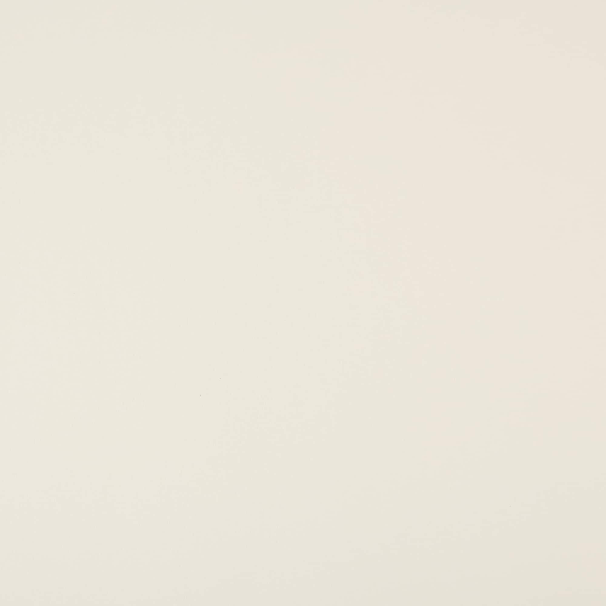Shimmer Silver & Champagne 8.5" x 11" Cardstock Paper by Recollections®, 100 Sheets